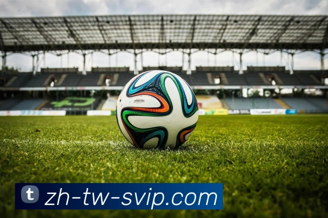 B体育官网平台生态图